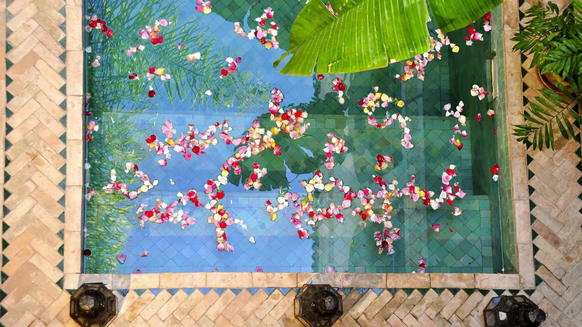 Riad Aguaviva Marraquexe