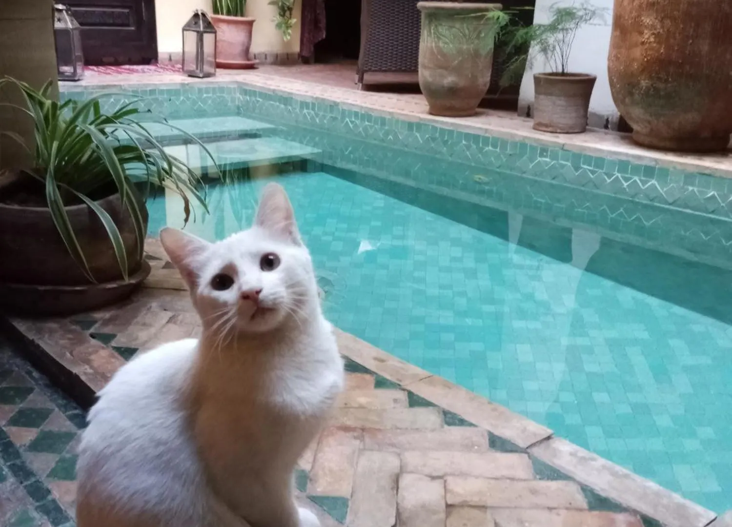 Riad Aguaviva Marraquexe Marrocos